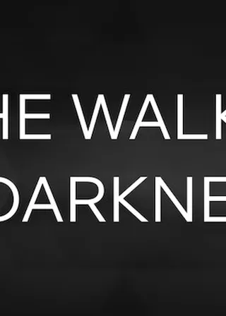 電影她行走於黑暗中的資料