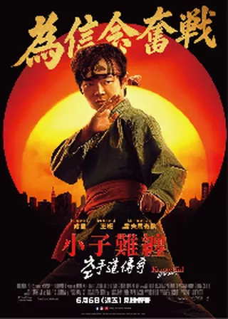 電影功夫夢：傳奇少年的資料