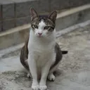 Eugene 的個人頭像