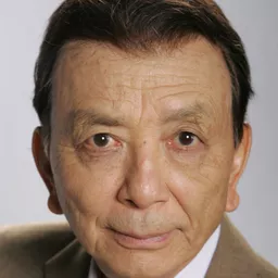 吳漢章 飾演 Mr. Ping (voice)