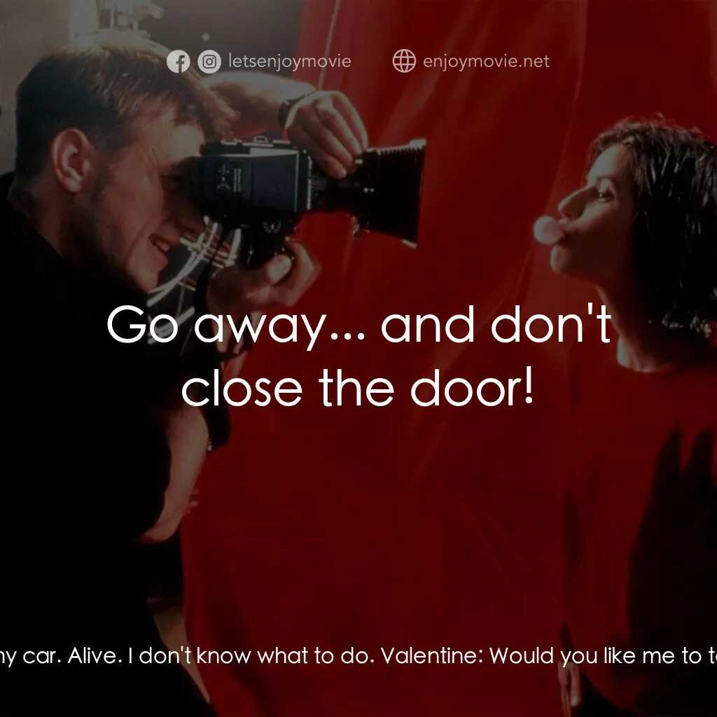 藍白紅三部曲之紅電影對白：Valentine:  Excuse me... the door was open. I'm sorry, I think I ran over your do